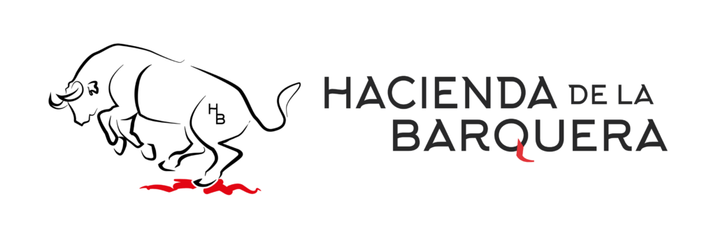 diseño de pagina web