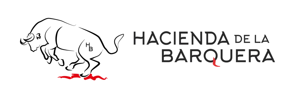 diseño de pagina web